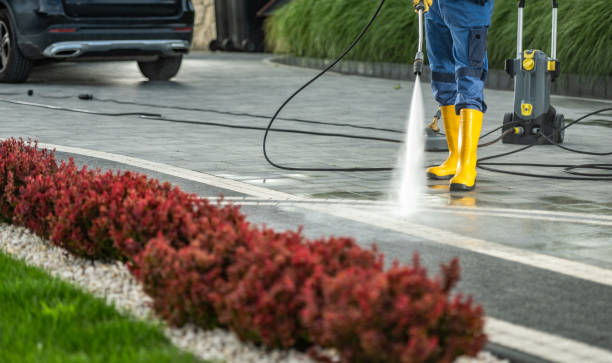 Best Animal Enclosure Cleaning  in Gowanda, NY